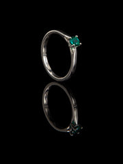 Green Singularity